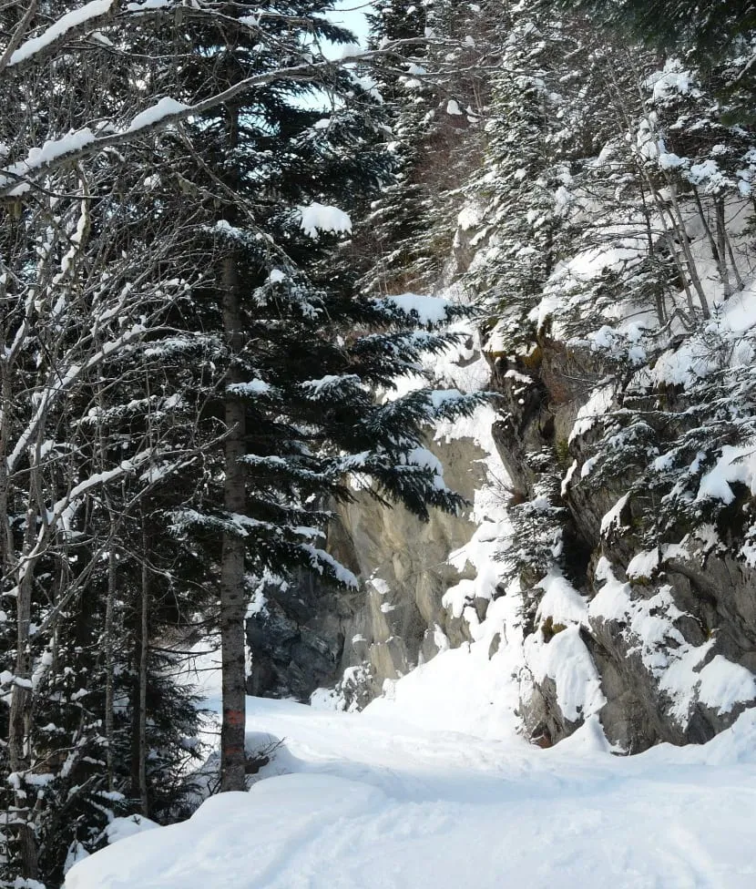 A narrow skinning track climbing through the snow